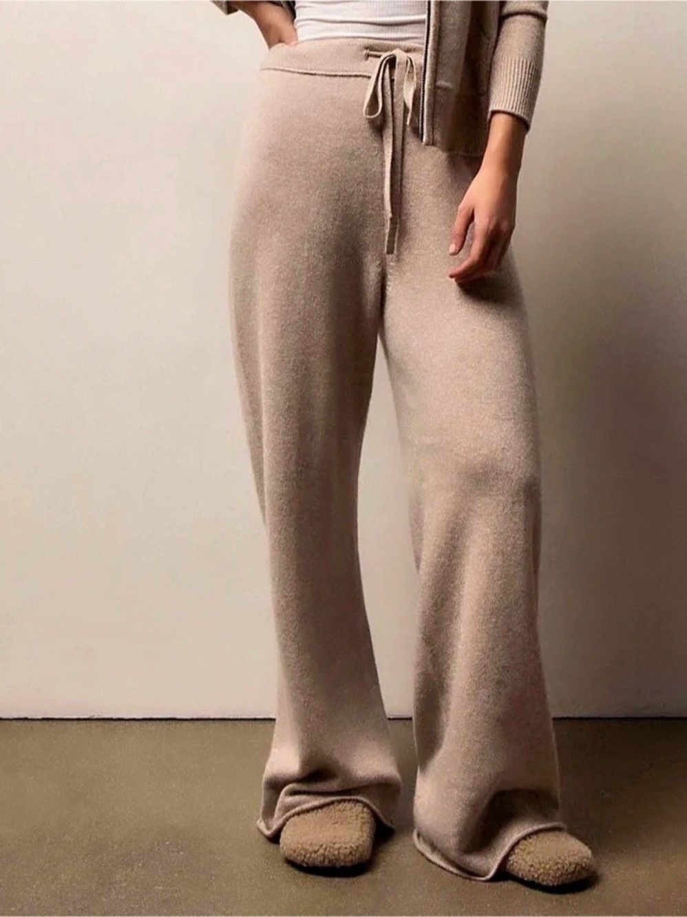 James Perse Wide Leg Cashmere Wool Pants in Beige Size 1 Like New